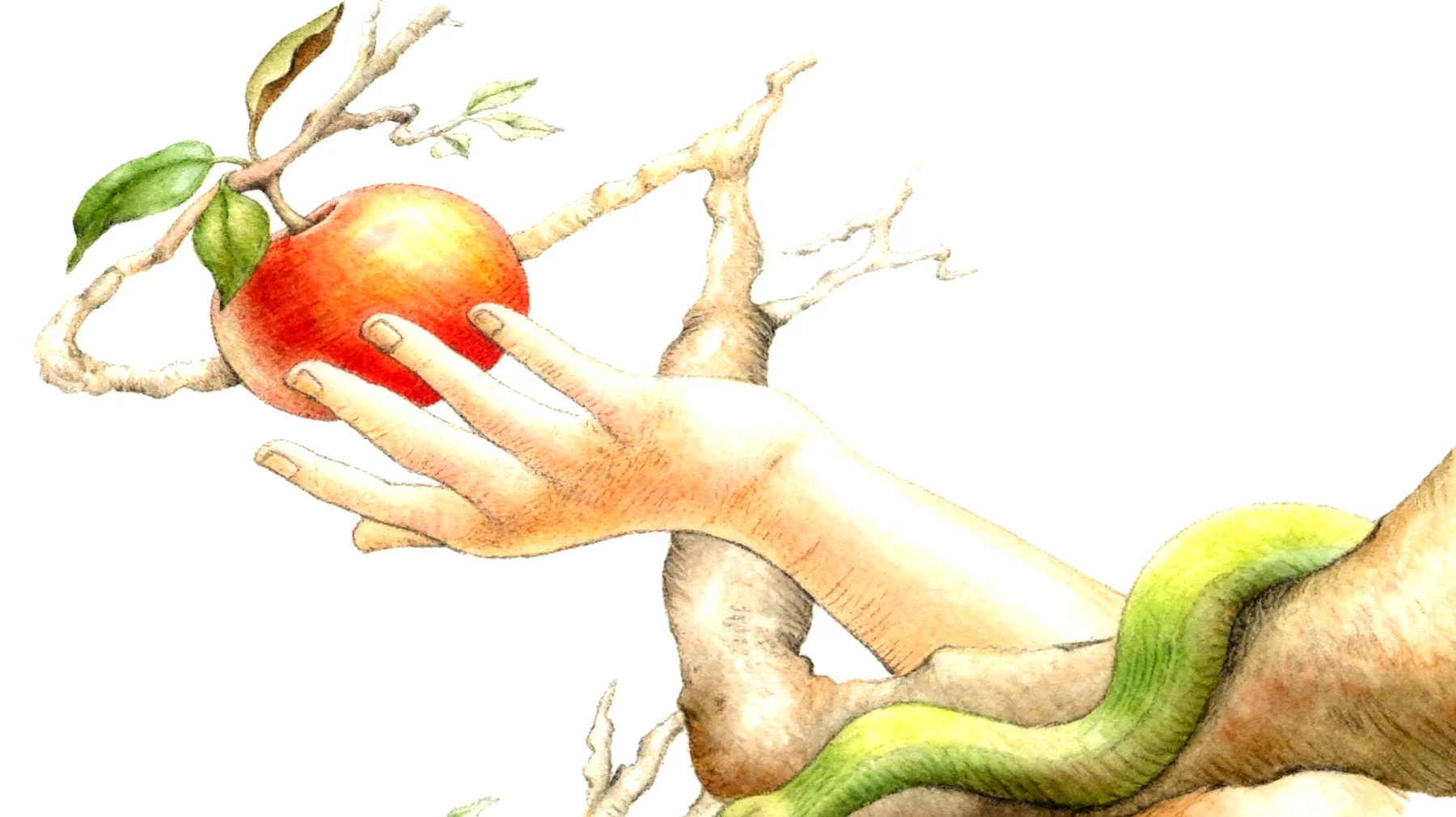 Forbidden Fruit2026-03-01T14:38:13.115Z"